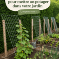 Un potager luxuriant avec divers légumes cultivés en pleine terre.