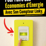 Une femme vérifiant son compteur Linky pour des économies d'énergie.