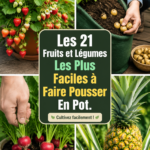 Des pots de fleurs avec fruits et légumes cultivés sur un balcon