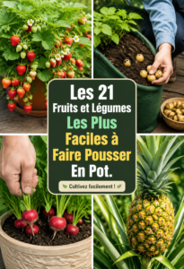Des pots de fleurs avec fruits et légumes cultivés sur un balcon