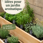 Un jardin aromatique varié avec des herbes fraîches comme le basilic et le thym.
