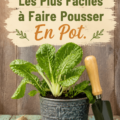 Un potager urbain avec des légumes frais cultivés en pot sur un balcon.