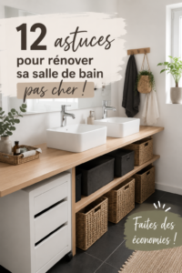 Salle de bain rénovée avec des matériaux économiques et modernes