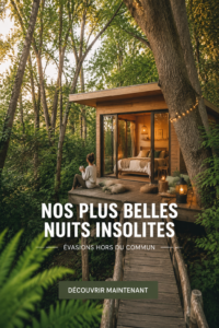 Une image représentant une nuit insolite en pleine nature en France : cabane dans les arbres sous un ciel étoilé.